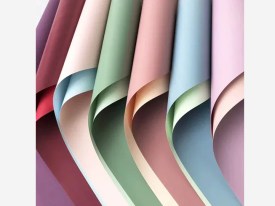 Papel coreano bicolor x 20 unidades